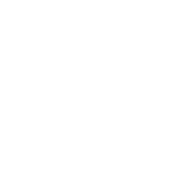 Lightbulb icon
