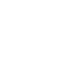 Safety hat icon