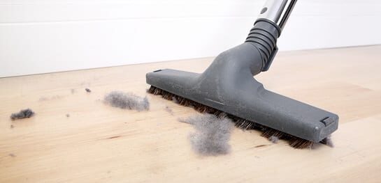 Indoor Allergies an Issue? Improve Your IAQ