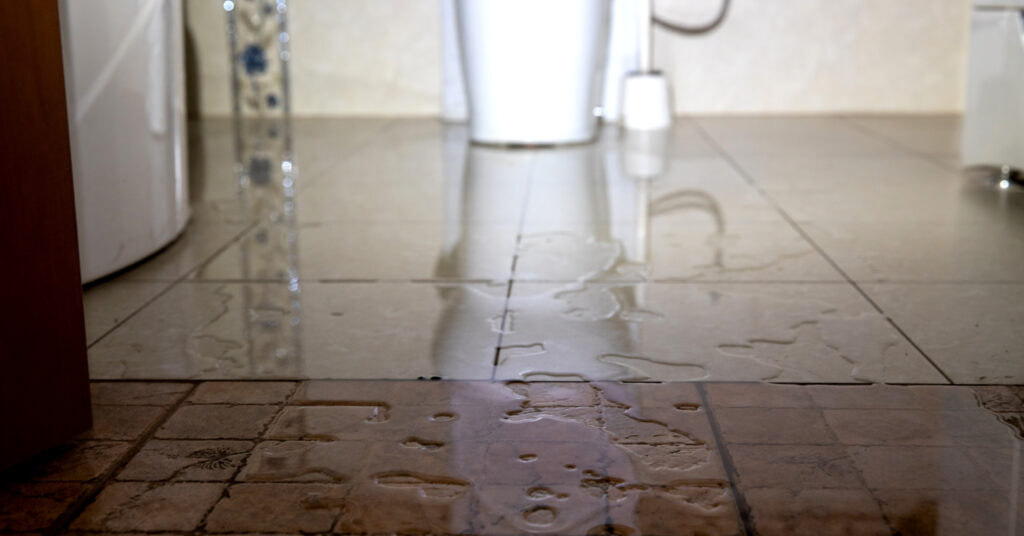 Water damage due a broken pipe or toilet. Moisture problem and wet floor. Horizontal, selective focus