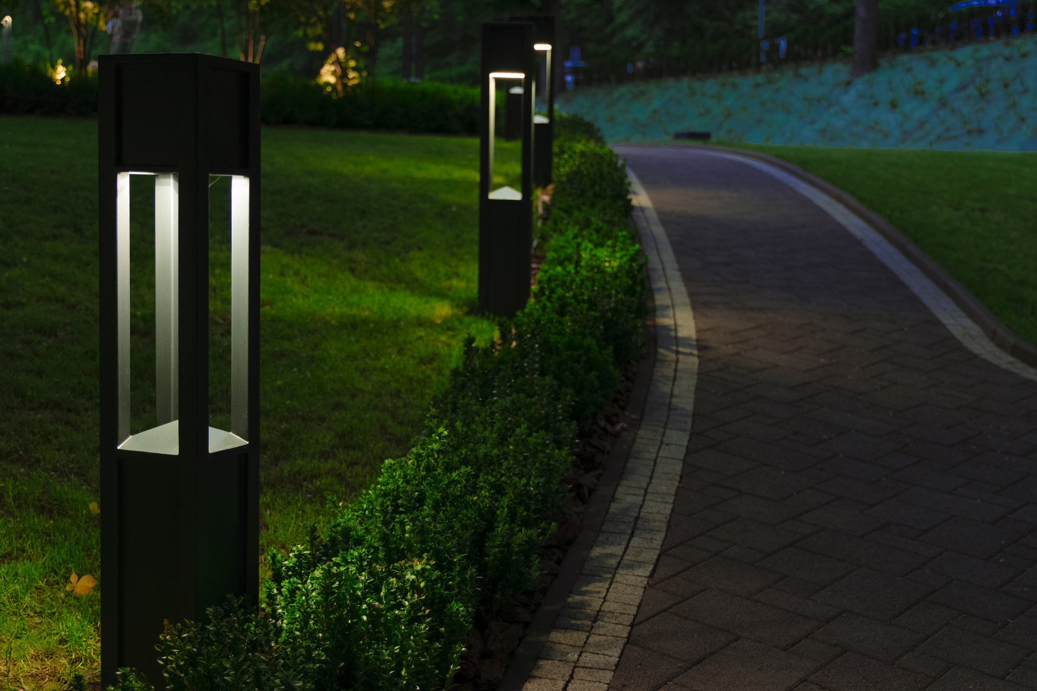 Garden path illuminated by lights